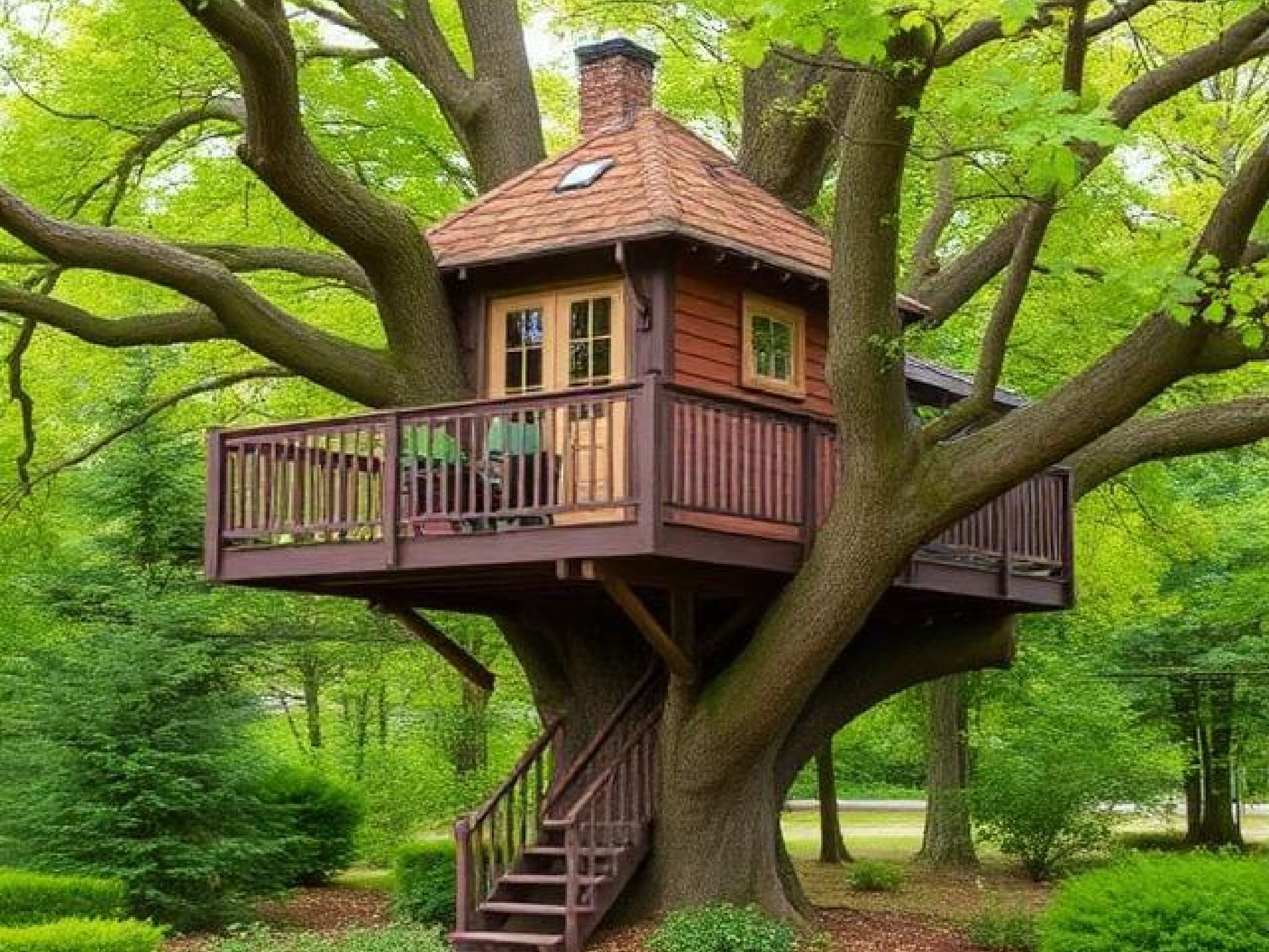 Tree House Builder in Massachusetts